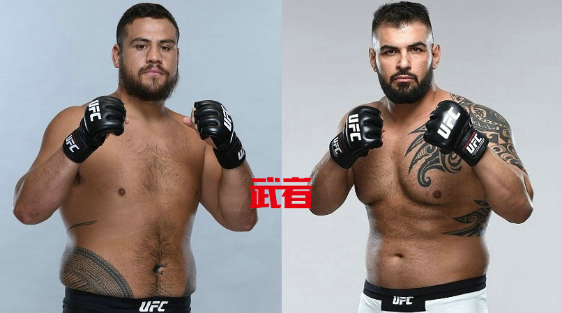 UFC 251：泰·图瓦萨vs加吉斯·丹霍