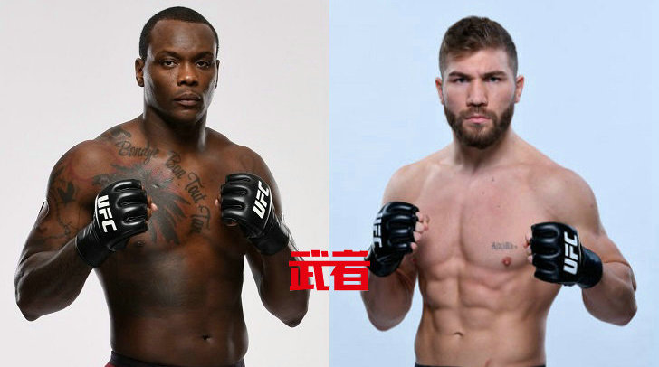 UFC格斗之夜173：欧文斯·圣·普吕vs艾恩·库特拉巴