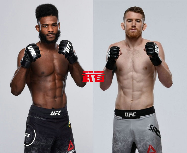 UFC-Sterling-Sandhagen.jpg