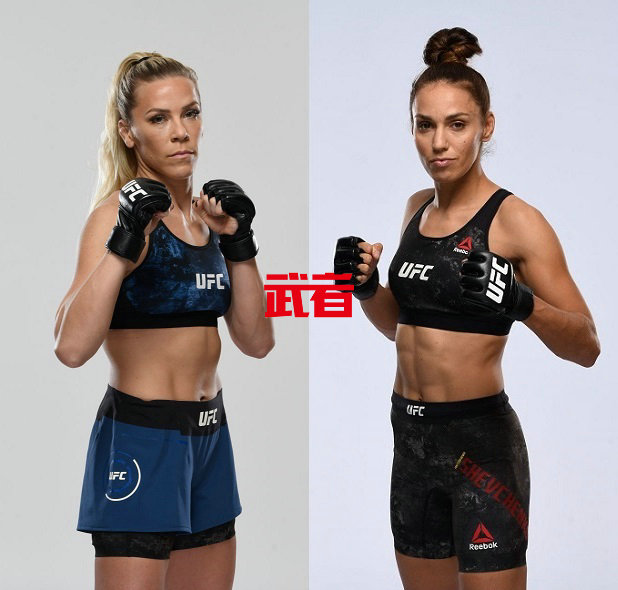 UFC-Chookagian-Shevchenko.jpg