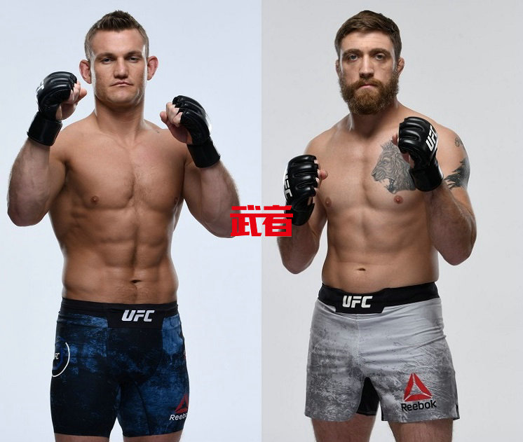 UFC-Heinisch-Meerschaert.jpg