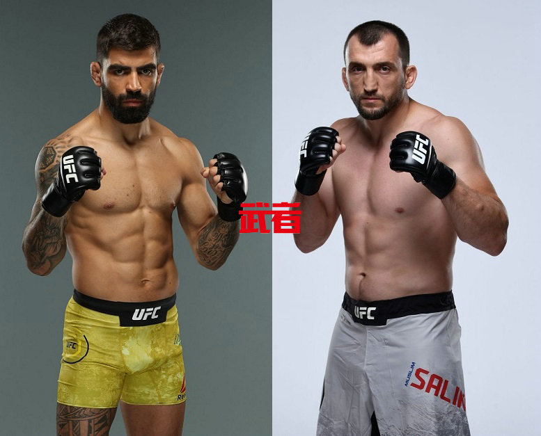 UFC-Santos-Salikhov.jpg