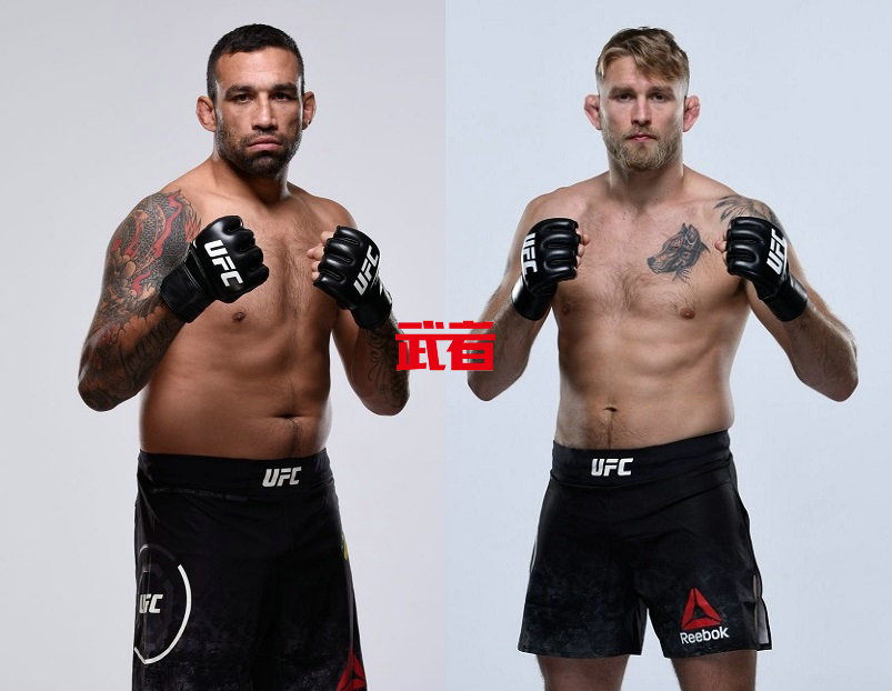 UFC-Werdum-Gustafsson.jpg