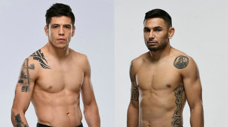 UFC 255:布兰登·莫雷诺vs亚历克斯·佩雷兹
