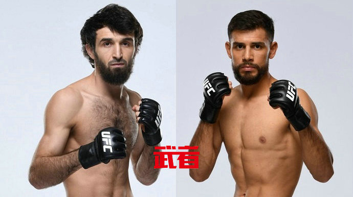 UFC 254:扎比特·马戈梅德沙利波夫vs亚尔·罗德里格兹