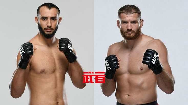 UFC 253:多米尼克·雷耶斯vs简·布拉乔维奇