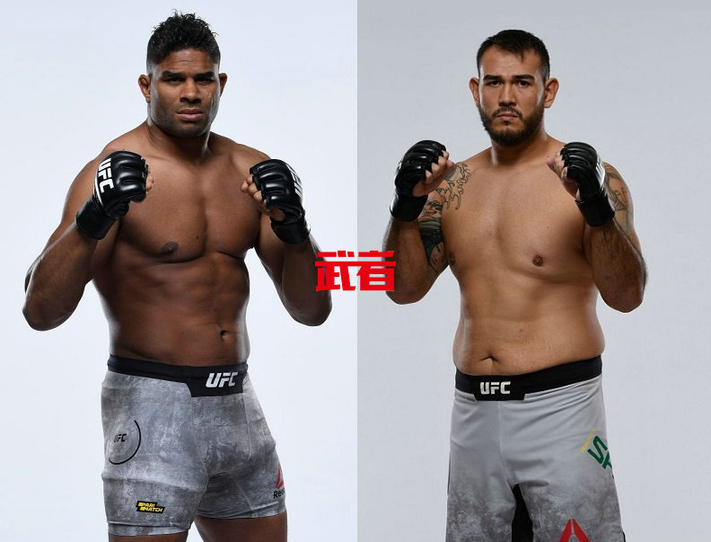 UFC-Overeem-Sakai.jpg