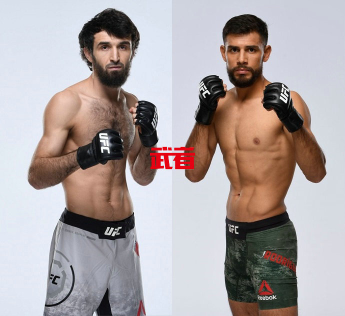 UFC-Zabit-Rodriguez.jpg