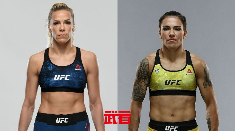 UFC格斗之夜181:杰西卡·安德拉德对手更换为凯特琳·初卡吉安
