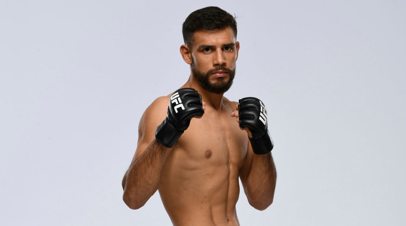 UFC格斗之夜176:亚尔·罗德里格兹因伤退赛
