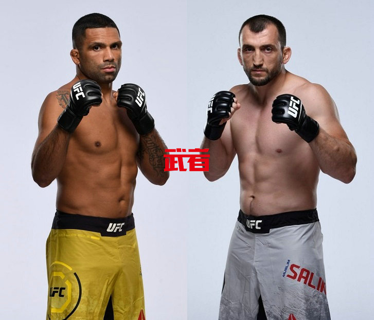 UFC-Silva-Salikhov.jpg