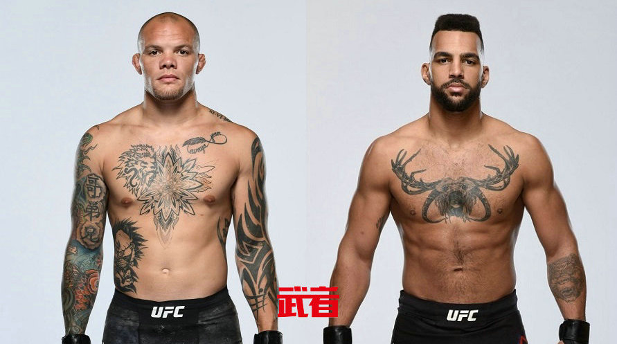 UFC格斗之夜184:安东尼·史密斯vs德文·克拉克
