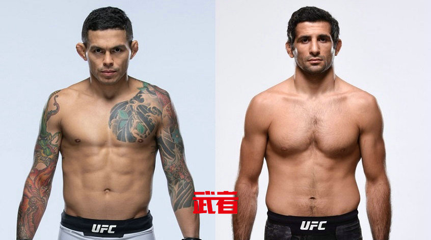 UFC格斗之夜186:费雷拉vs大流士,约翰逊vs盖达