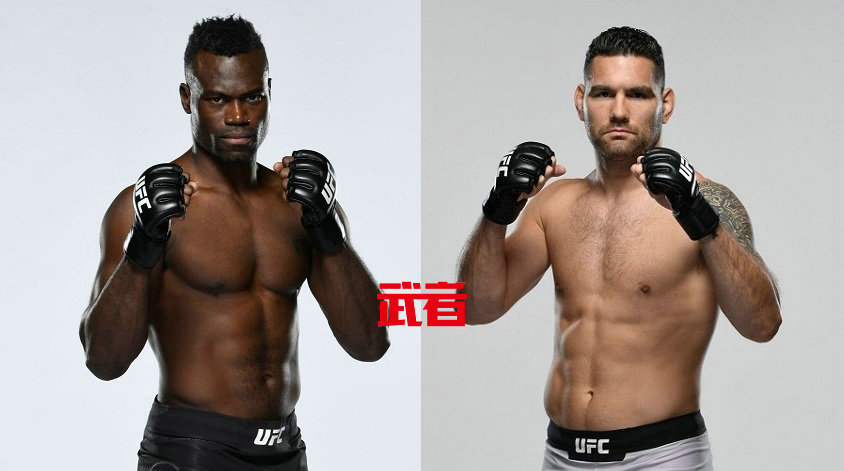 前UFC冠军魏德曼感染新冠，与霍尔比赛推迟到UFC 261举行