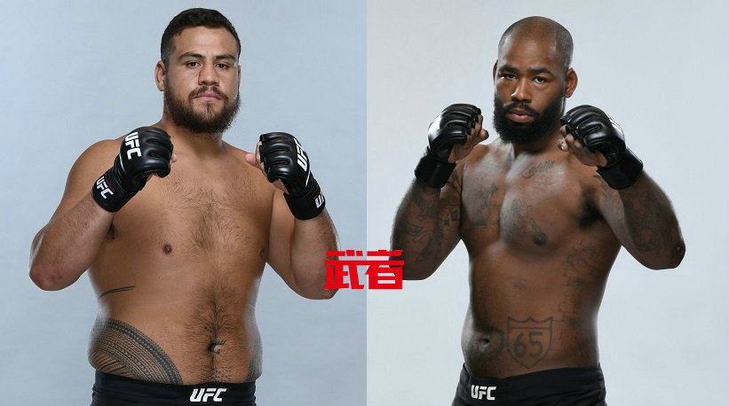 3月20日UFC:泰·图瓦萨vs唐塔莱·梅耶斯