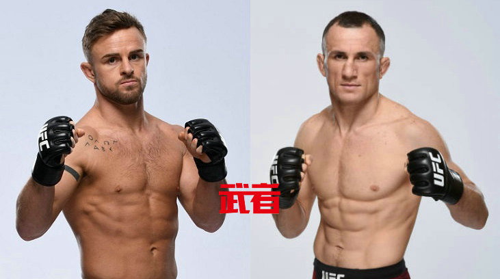 UFC格斗之夜2月6日:米拉·德瓦利什维利vs科迪·斯塔曼