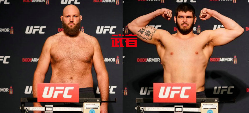 UFC-Rothwell-Lins.jpg
