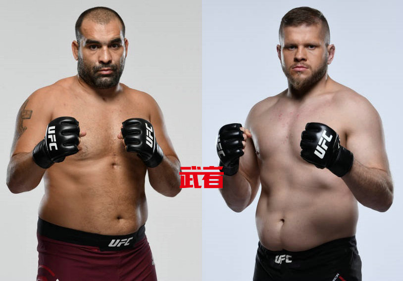 UFC-Ivanov-Tybura.jpg