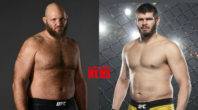 本·罗斯威尔vs菲利浦·林斯转移到5月8日UFC举行