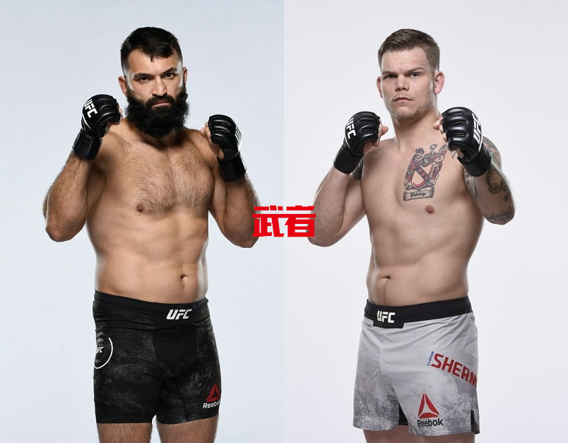 UFC-Arlovski-Sherman.jpg