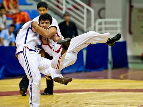 中国式摔跤28年后重返全运会