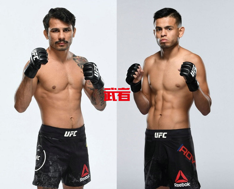 UFC-Pantoja-Royval.jpg