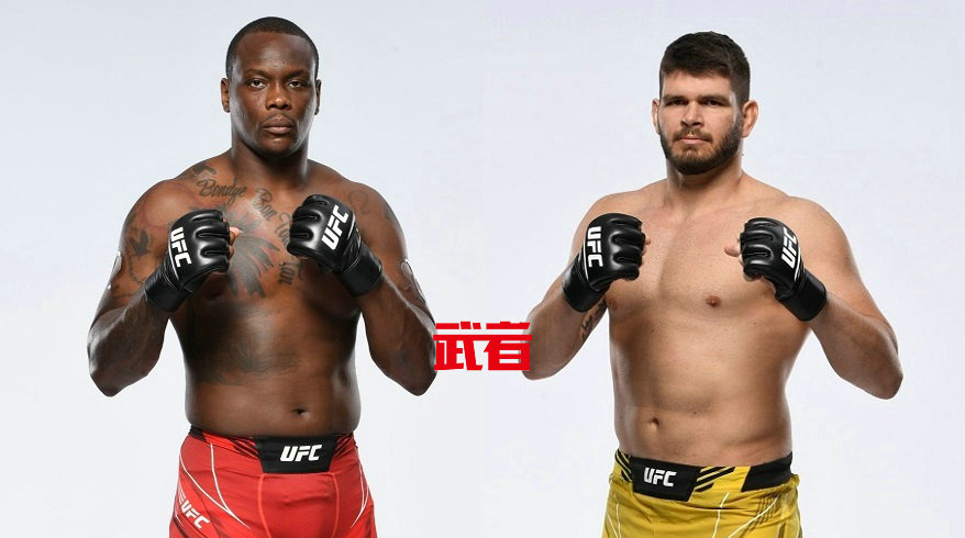 11月14日UFC:欧文斯·圣·普吕vs菲利普·林斯
