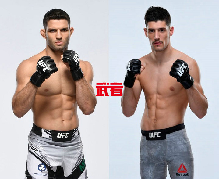 UFC-Moises-Alvarez.jpg