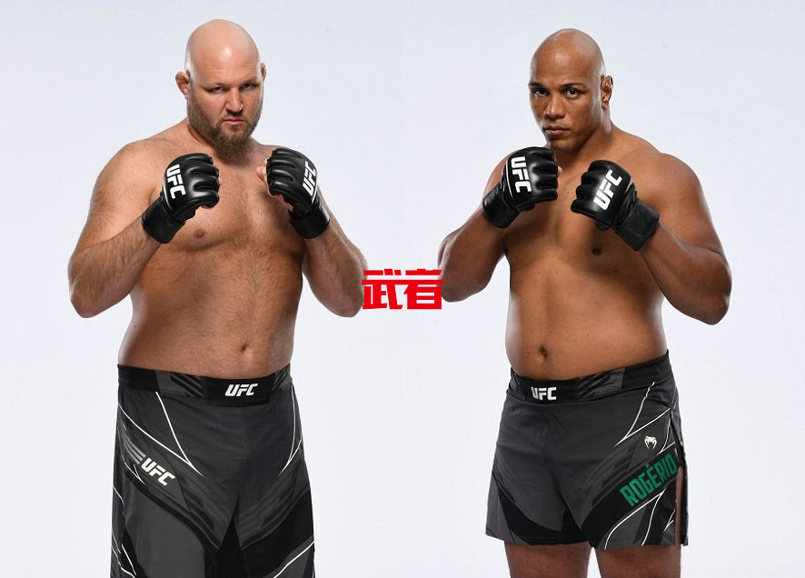 UFC-Rothwell-Lima.jpg