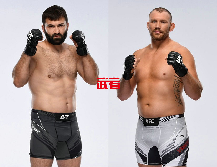 UFC-Arlovski-Vanderaa.jpg