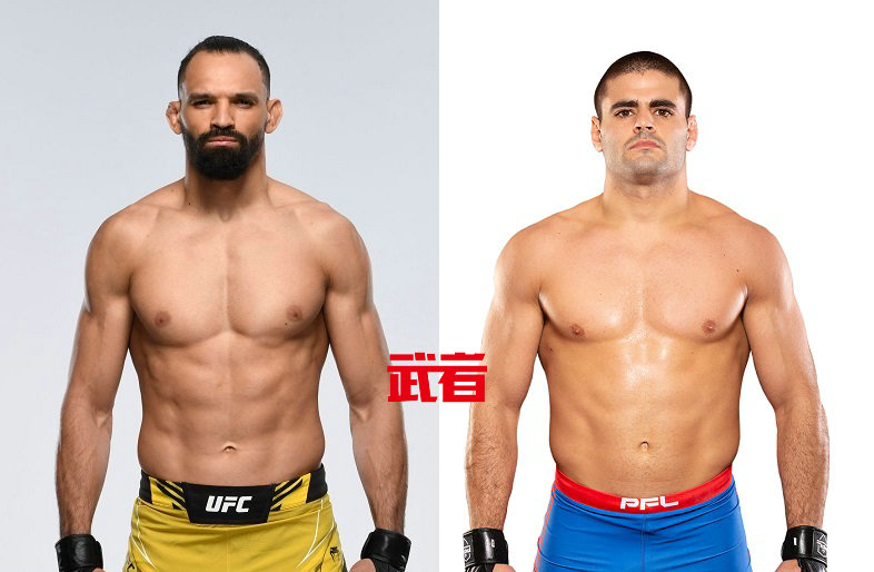 UFC-Pereira-Fialho.jpg