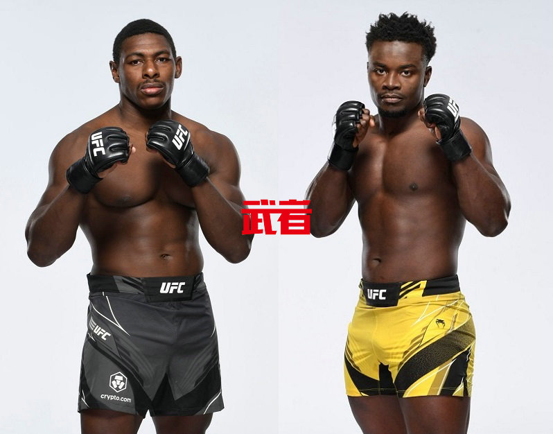 UFC-Buckley-Alhassan.jpg