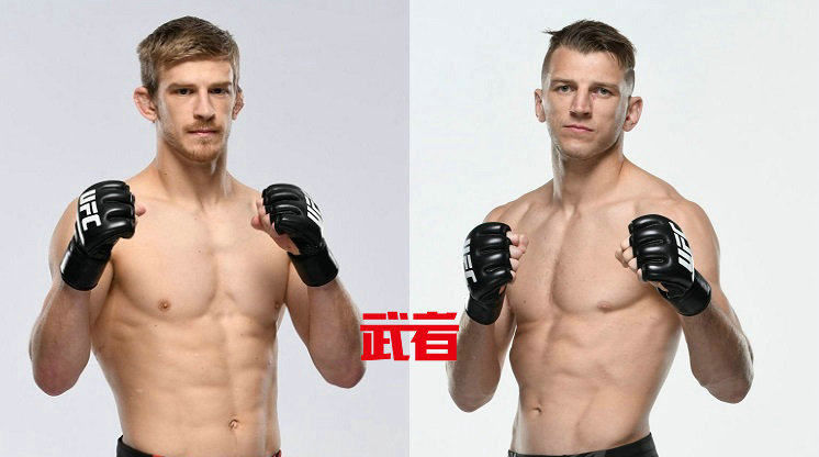 3月20日UFC:阿诺德·艾伦vs丹·胡克