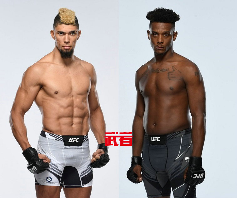 UFC.jpg