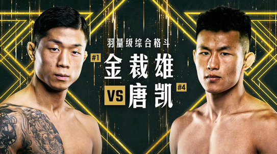 ONE冠军赛十周年巨献,19场对决史上最强阵容!