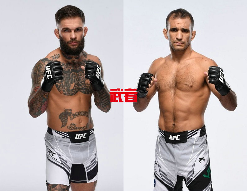 UFC-Garbrandt-Yahya.jpg