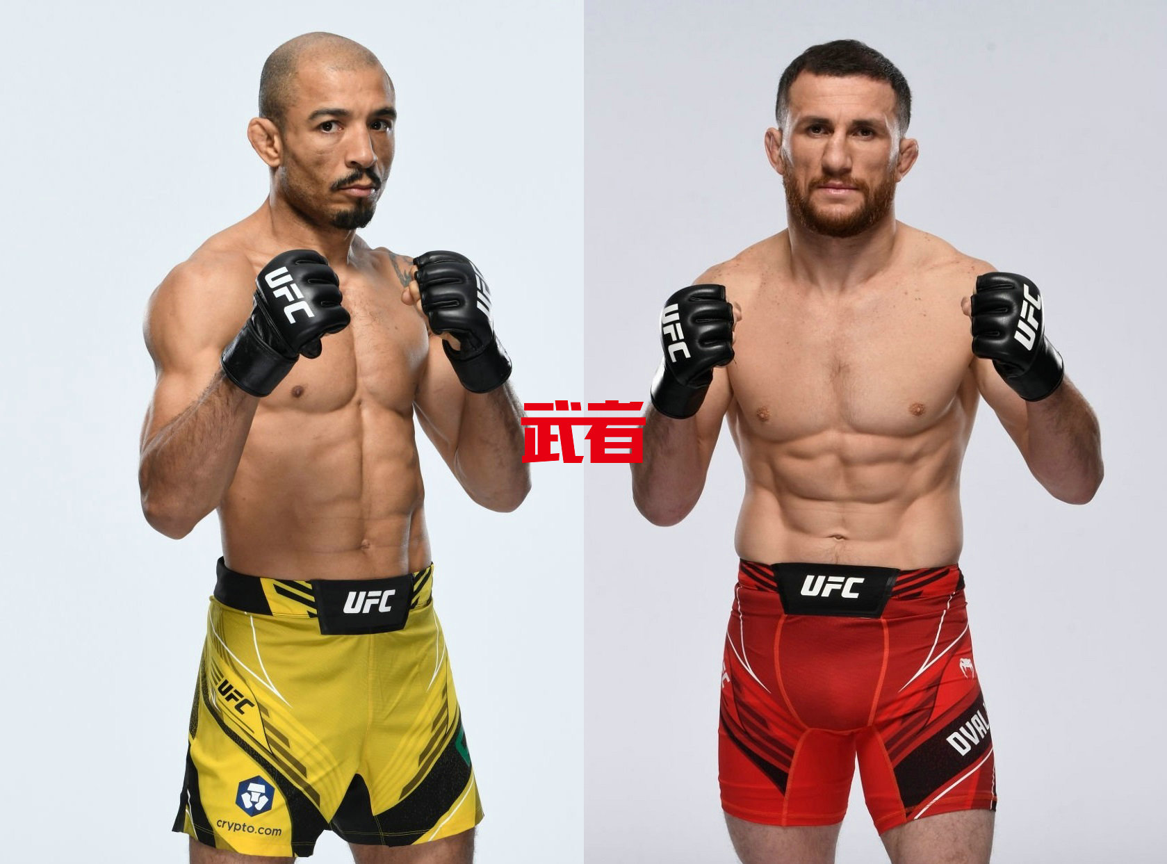 UFC-Aldo-Dvalishvili.jpg