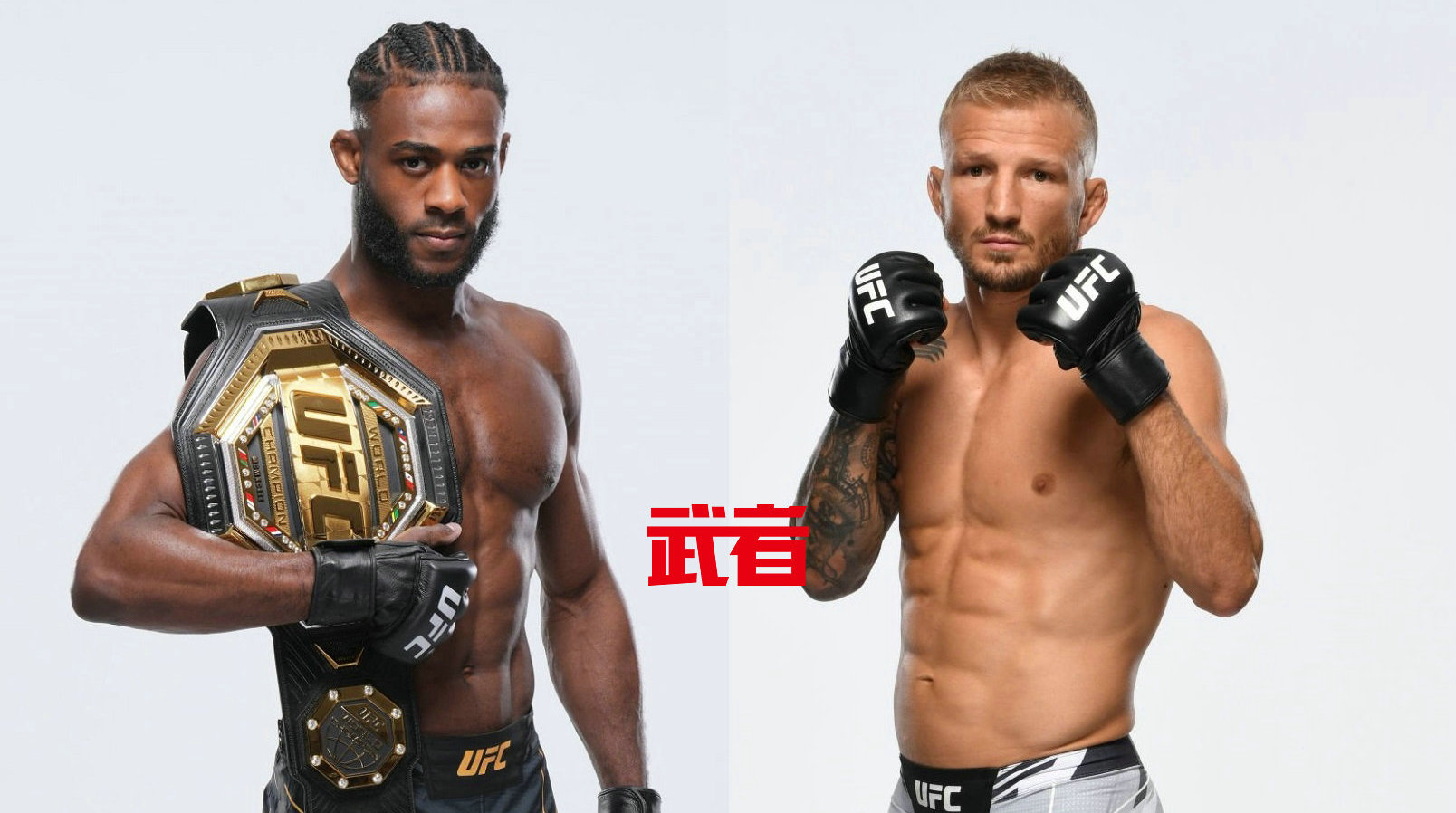 UFC 279：阿尔加麦恩·斯特林vsTJ·迪拉肖