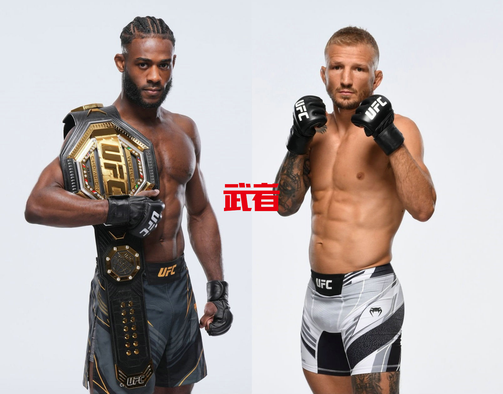 UFC-Sterling-Dillashaw.jpg