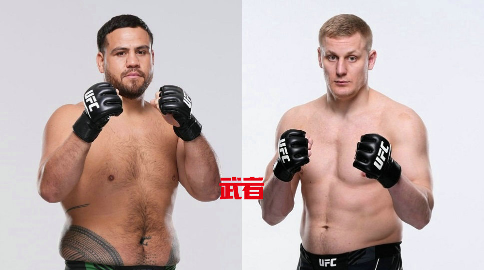 12月4日UFC:泰·图瓦萨vs谢尔盖·帕夫洛维奇