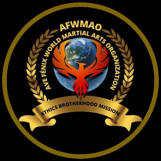 AFWMAO世界空手道虚拟锦标赛（型线上赛）中国代表队获2金1银