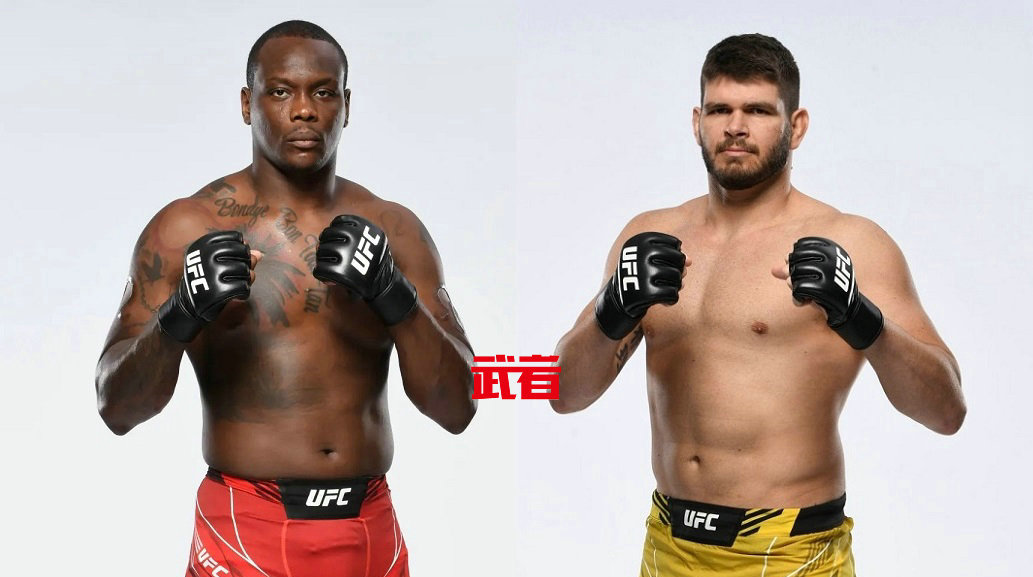 2月19日UFC:欧文斯·圣·普吕vs菲利普·林斯