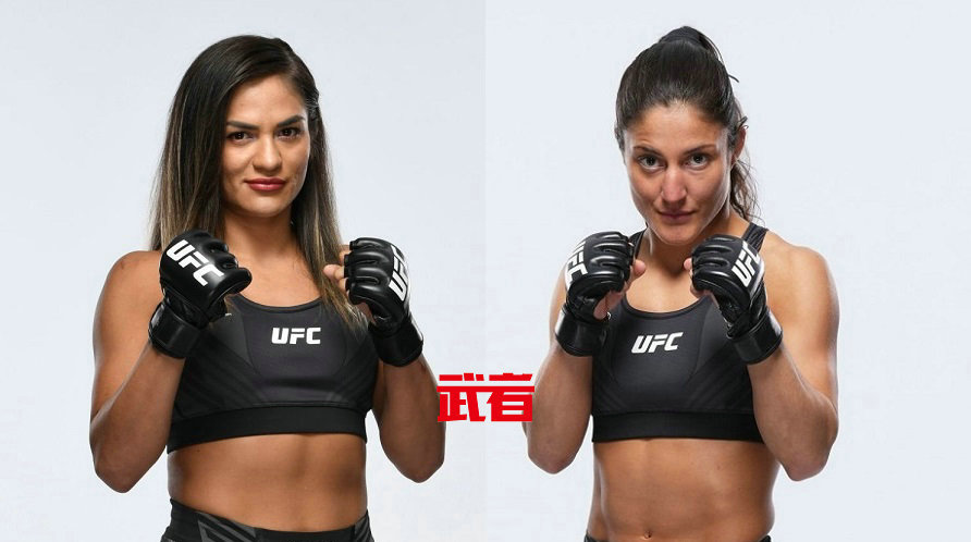 UFC 287:辛西娅·卡尔维洛vs鲁皮塔·戈迪内斯