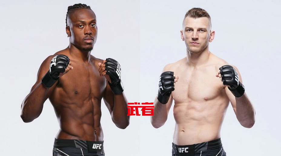 UFC 285:杰林·特纳vs丹·胡克