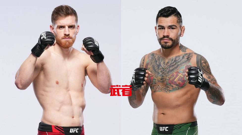 5月20日UFC:埃德曼·沙巴赞vs安东尼·埃尔南德兹