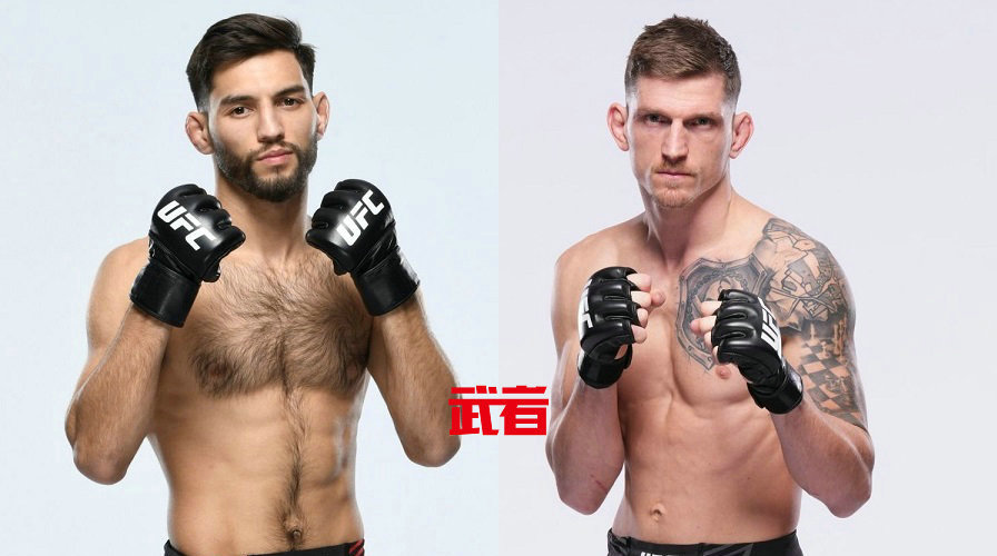 UFC 289:施奈尔vs德沃夏克,伊盖vs兰德维尔