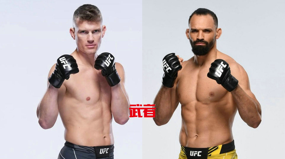 UFC 289:斯蒂芬·汤普森vs米歇尔·佩雷拉