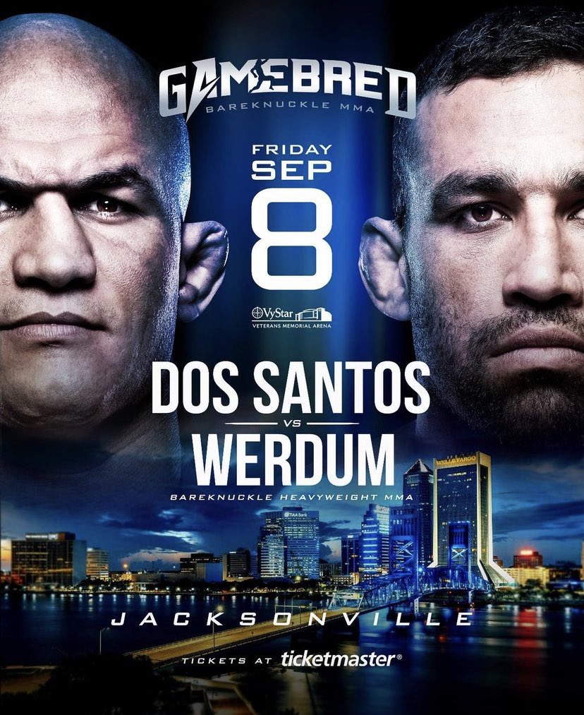 SANTOS-WERDUM.jpg