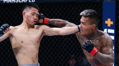 UFC精英之路第2季半决赛结束,五位中国选手晋级总决赛