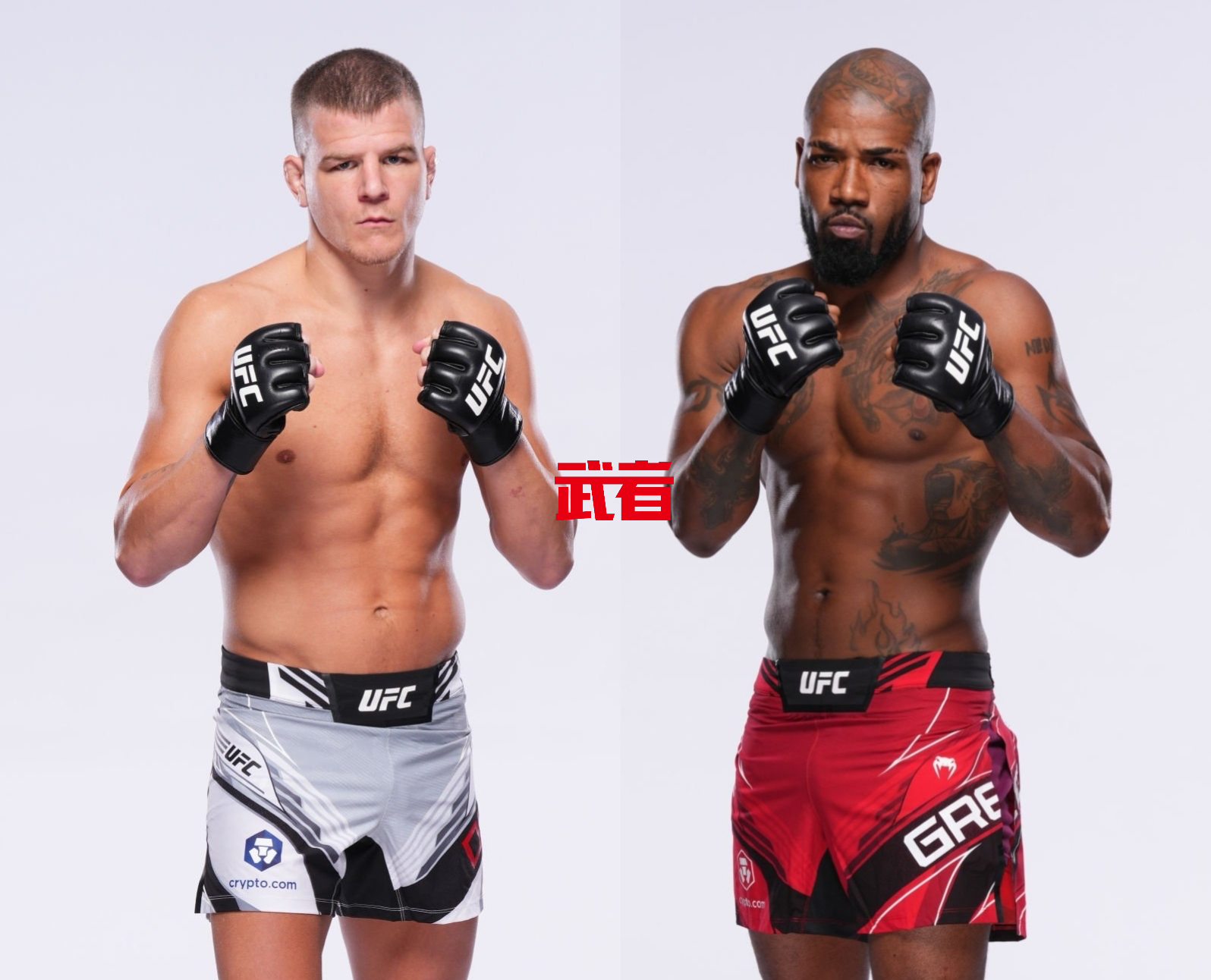 UFC Fight Night: Dawson vs. Green